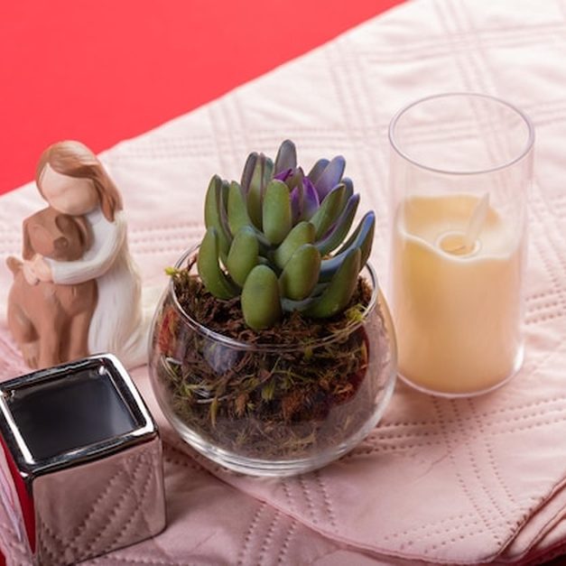 Replantio e divisão de orquídeas